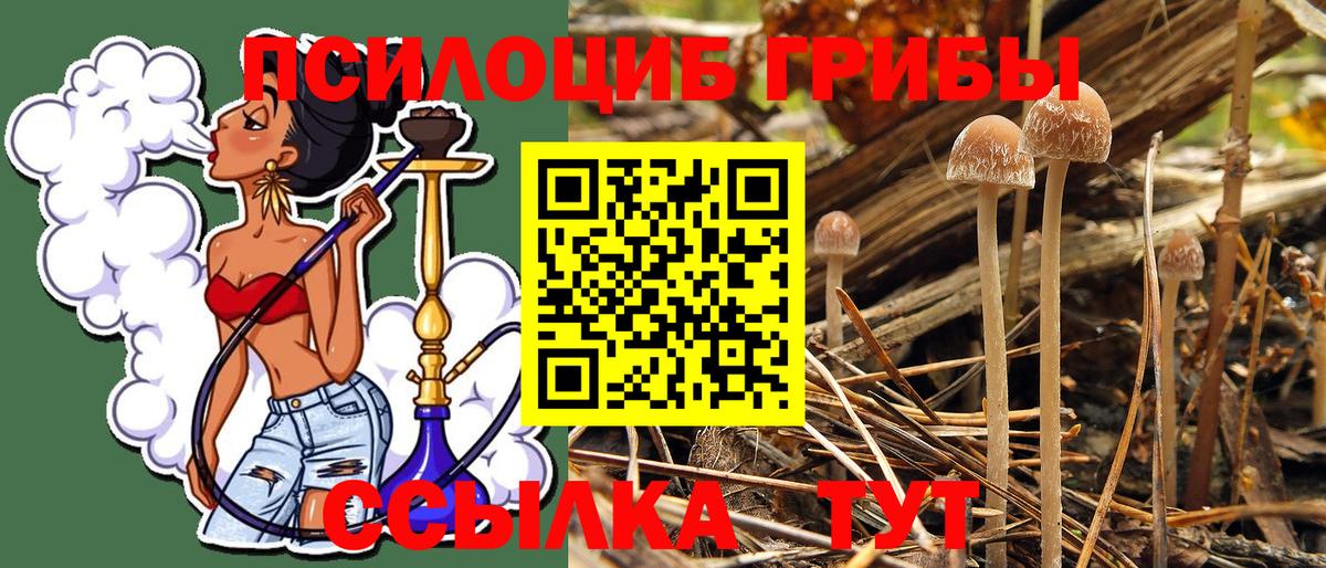 Псилоцибиновые грибы ЛСД  Белгород 