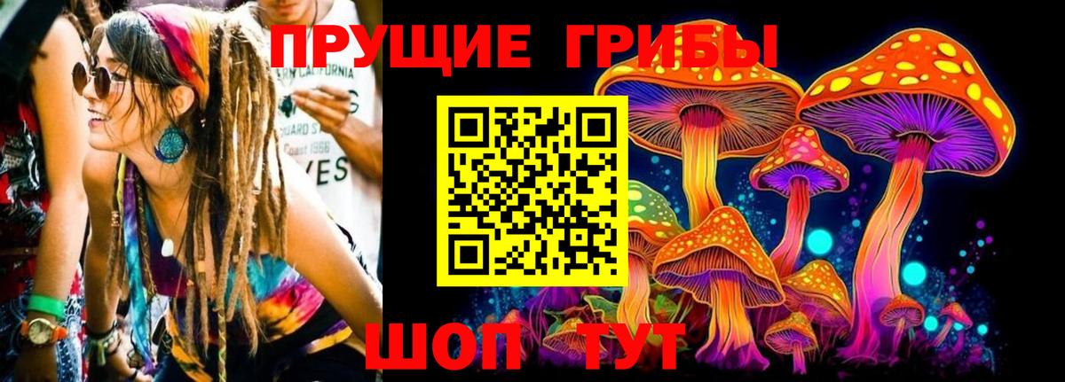 Галлюциногенные грибы Psilocybe  Вход с VPN  Псилоцибиновые грибы Cubensis  Белгород 