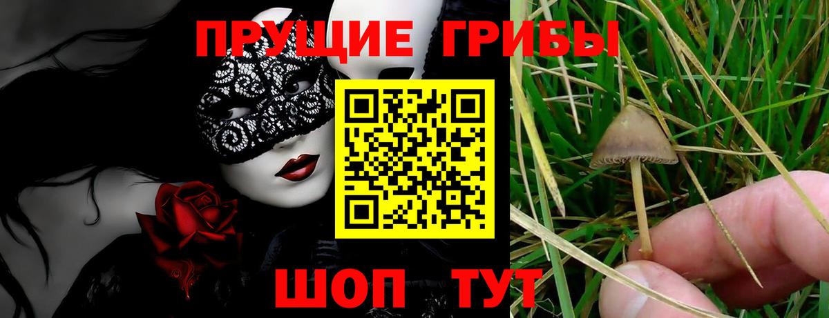 Псилоцибиновые грибы мухоморы Белгород